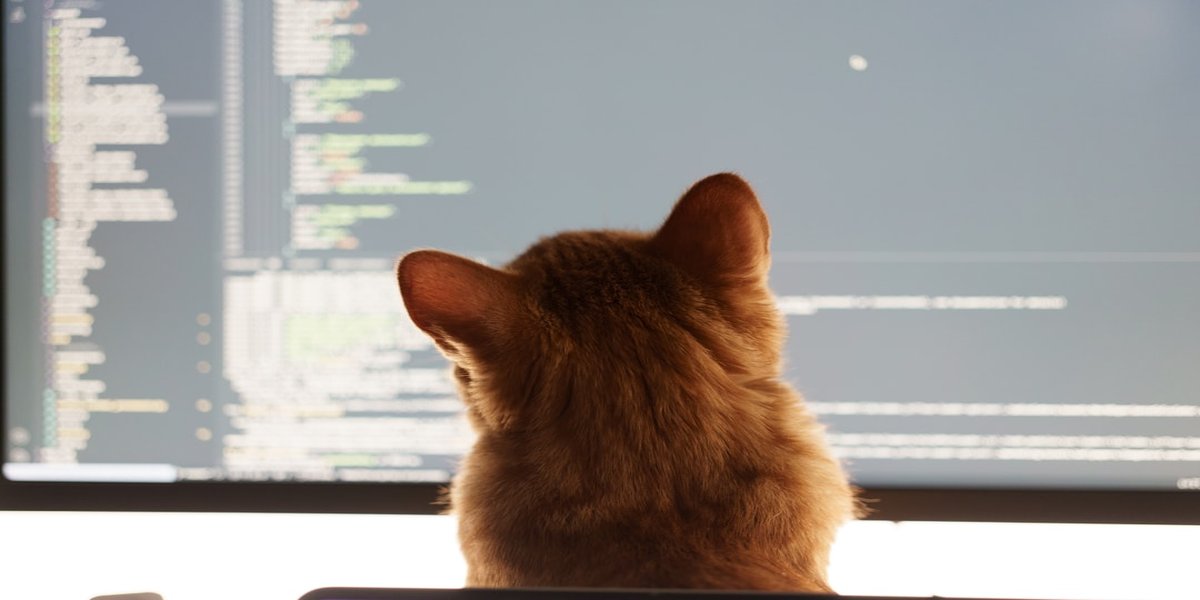 Fine-Tuning Small LLMs with Docker Desktop - Part 3: Fine-Tuning with Unsloth
