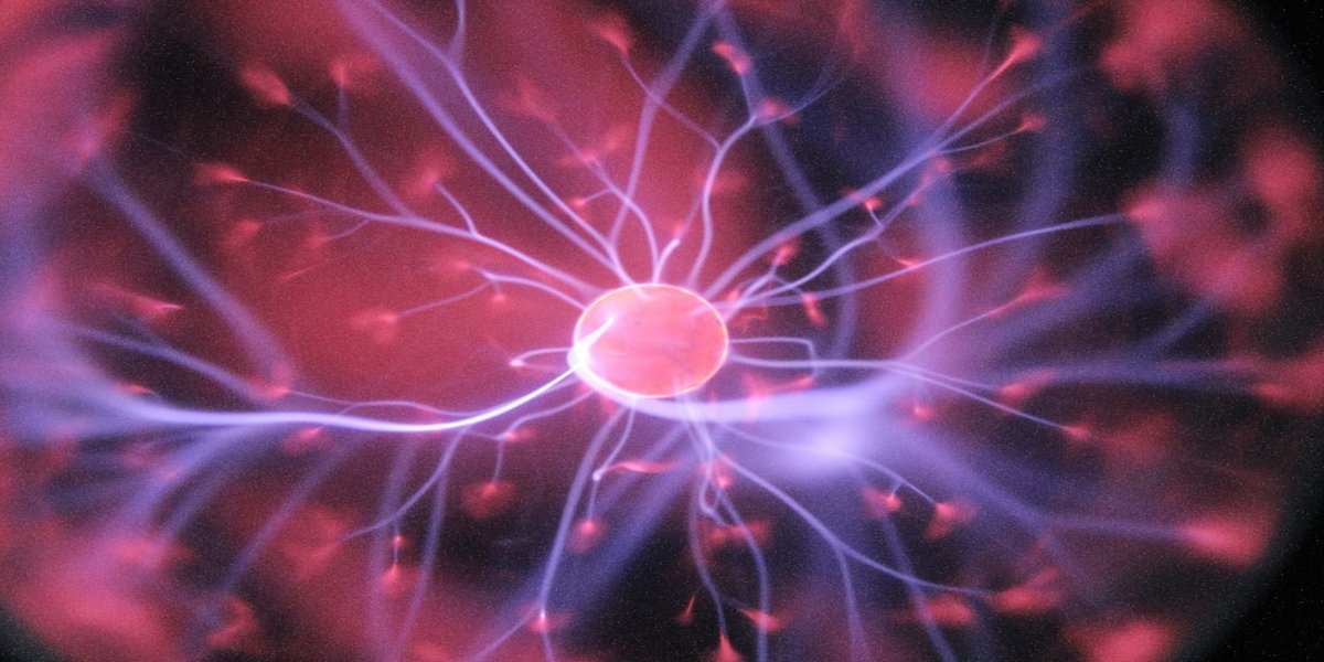 How to Build a Neurosymbolic Adapter: A Developer's Guide