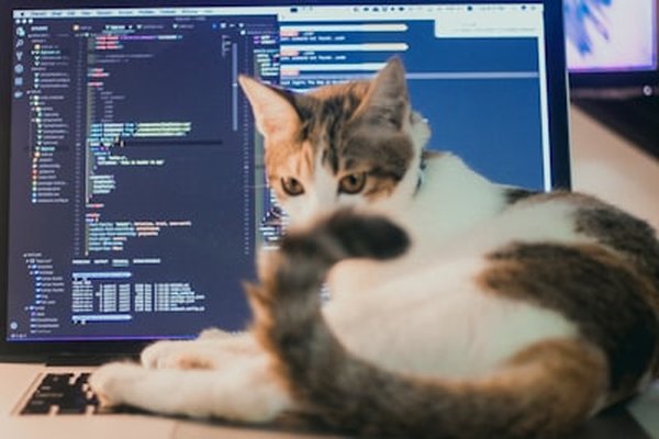 Fine-Tuning Small LLMs on a Desktop - Part 1: Setup and Environment